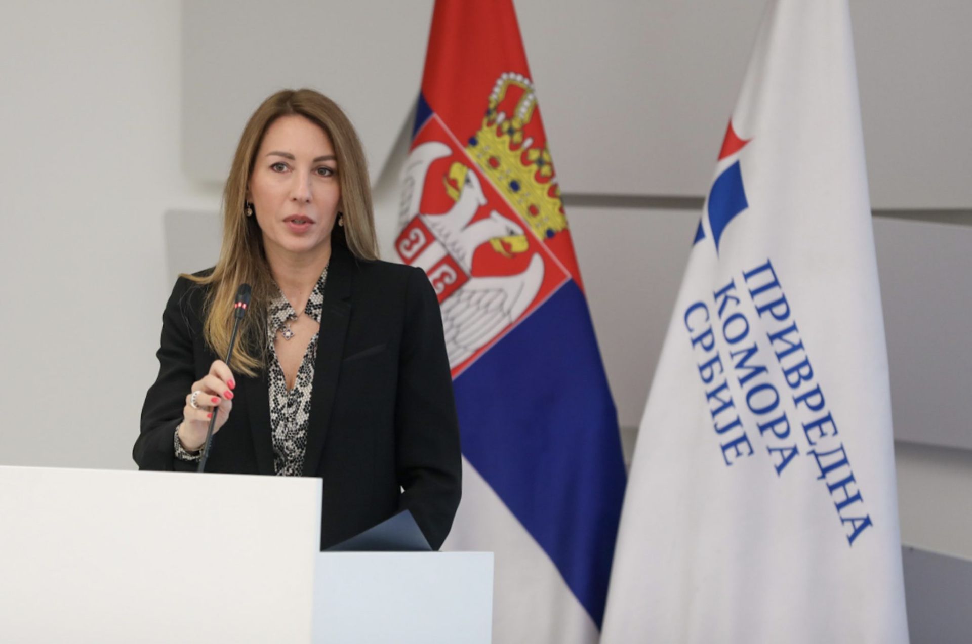 Serbia's national climate and energy plan consultations to end on 27 ...