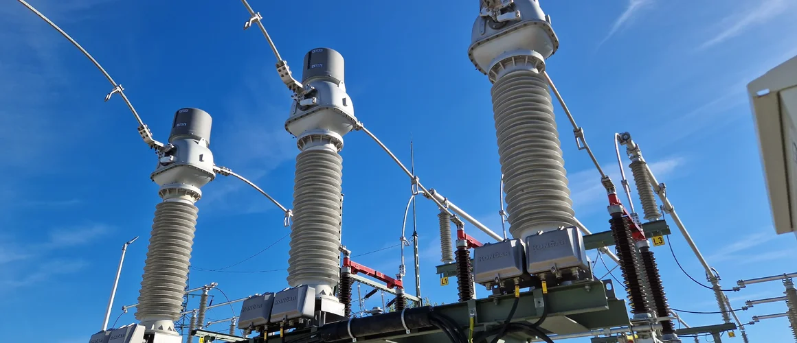 Poland invests 9 million euros to upgrade power grid for electric vehicles