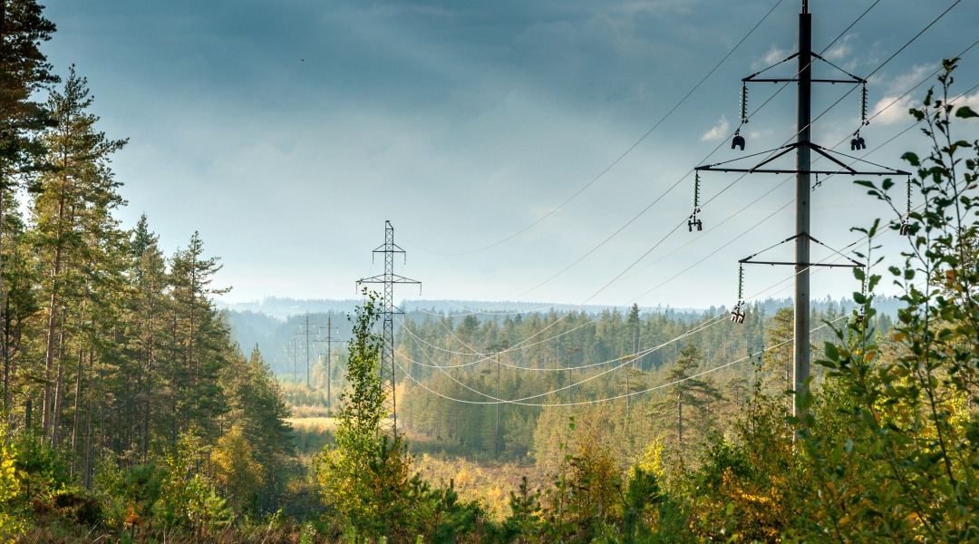 Estonia adopts its first comprehensive nuclear energy law