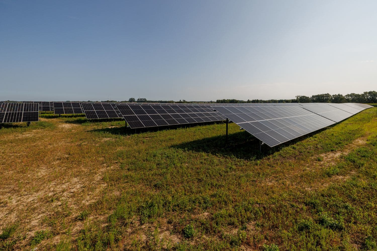 Enefit launches its largest solar park in Poland